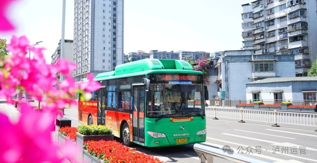 泸州九类群体可畅享公交免费或优惠福利(图2) 利2.jpg