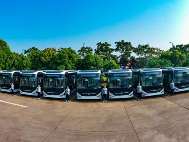 速览!2025年上半年泸州机场、公交数据出炉(图2) 2.jpg