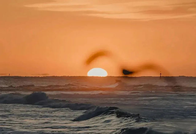 【科普】警惕“人生最后一次跌倒”，可能是“我想上厕所”！