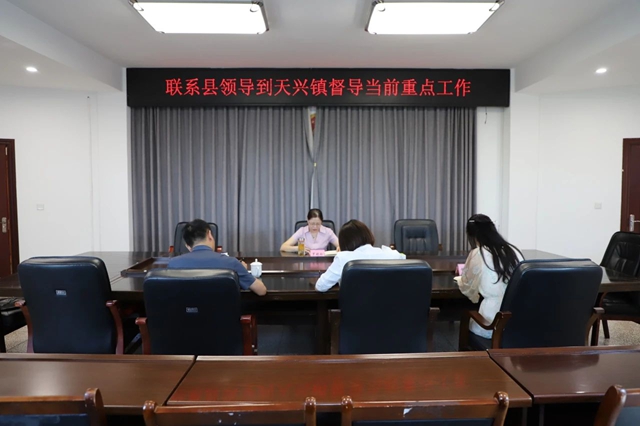 泸县人大常委会副主任罗晓玲率队到天兴镇督导当前重点工作(图1) 罗1.jpg