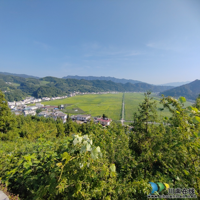 泸州媒体采风团古蔺大寨行 苗乡沃土上的“奋斗答卷”