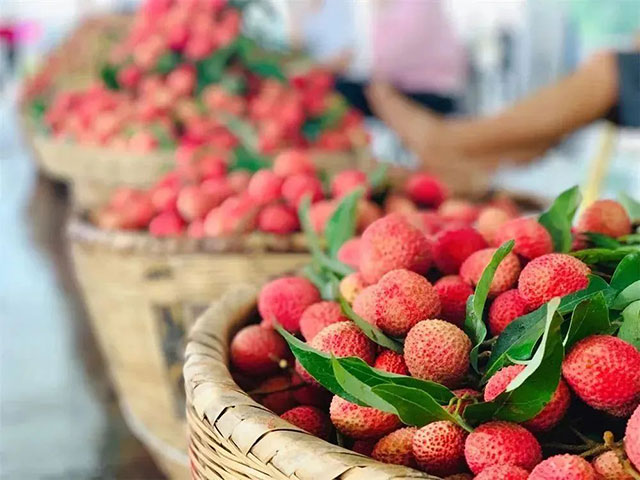 点燃夏秋消费热情,合江荔枝泸州桂圆的错峰甜蜜(图3) 3.jpg