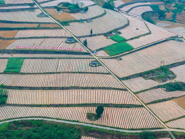 协会动态 | 影像驻村连载——走进“远古神奇 火红石屏”(图14) 14.jpg