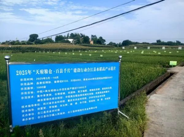 2025成渝现代高效特色农业带农业科技成果展示推介会在合江举办(图2) 农2.jpg