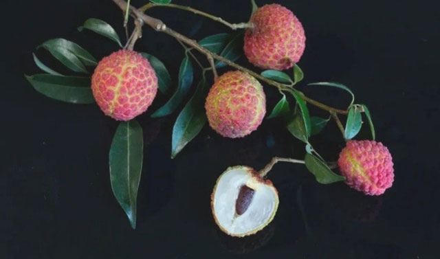 十二金钗凝荔韵 千年传奇续新篇┃合江荔枝十二金钗诗联里的晚熟传奇(图21) 红绣球.jpg