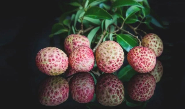 十二金钗凝荔韵 千年传奇续新篇┃合江荔枝十二金钗诗联里的晚熟传奇(图23) 观音绿.jpg