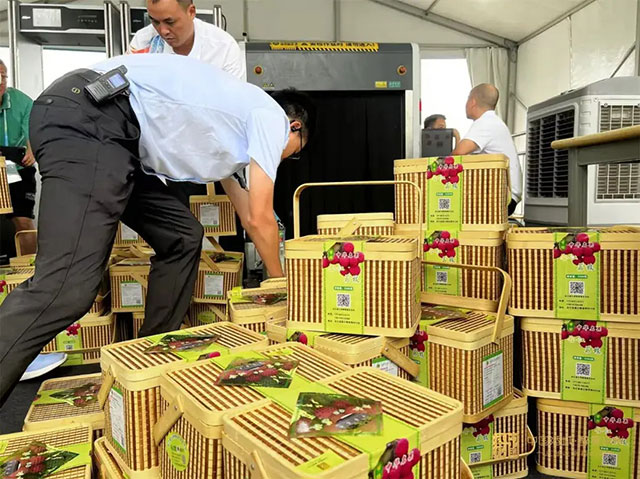 十二金钗凝荔韵 千年传奇续新篇┃合江荔枝十二金钗诗联里的晚熟传奇(图26) 90111a081c0a4c3c8e15a133404d79f1.jpg