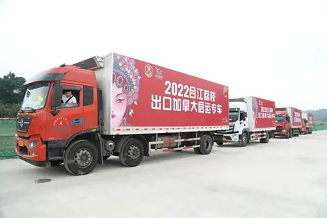 十二金钗凝荔韵 千年传奇续新篇┃合江荔枝十二金钗诗联里的晚熟传奇(图29) 3337d288f1a24bfc8018aca5ed78f611.jpg