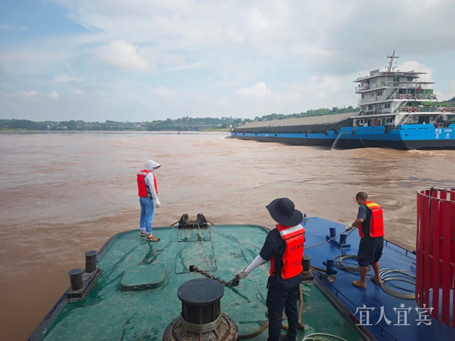 水位低于同期4.5米!长江叙泸段遭遇罕见“枯洪急转”现象(图2) 江2.jpg