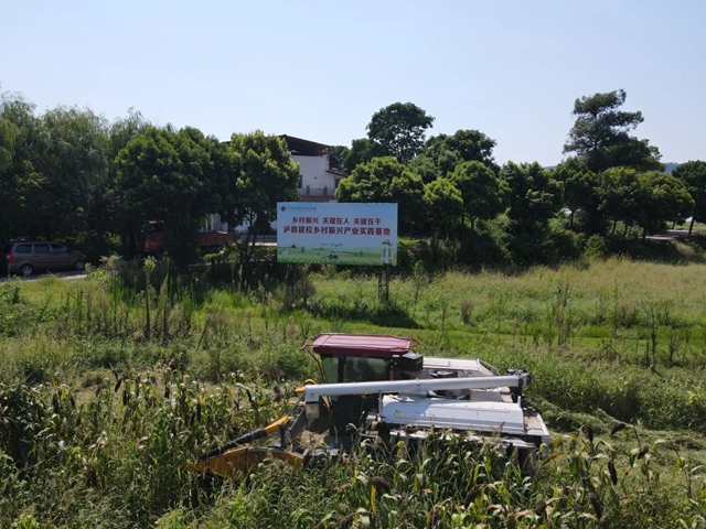 60亩高粱2小时收完！泸县建校乡村振兴学院丰收上演“科技大片”