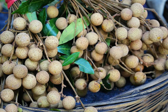 桂圆适合晚上吃