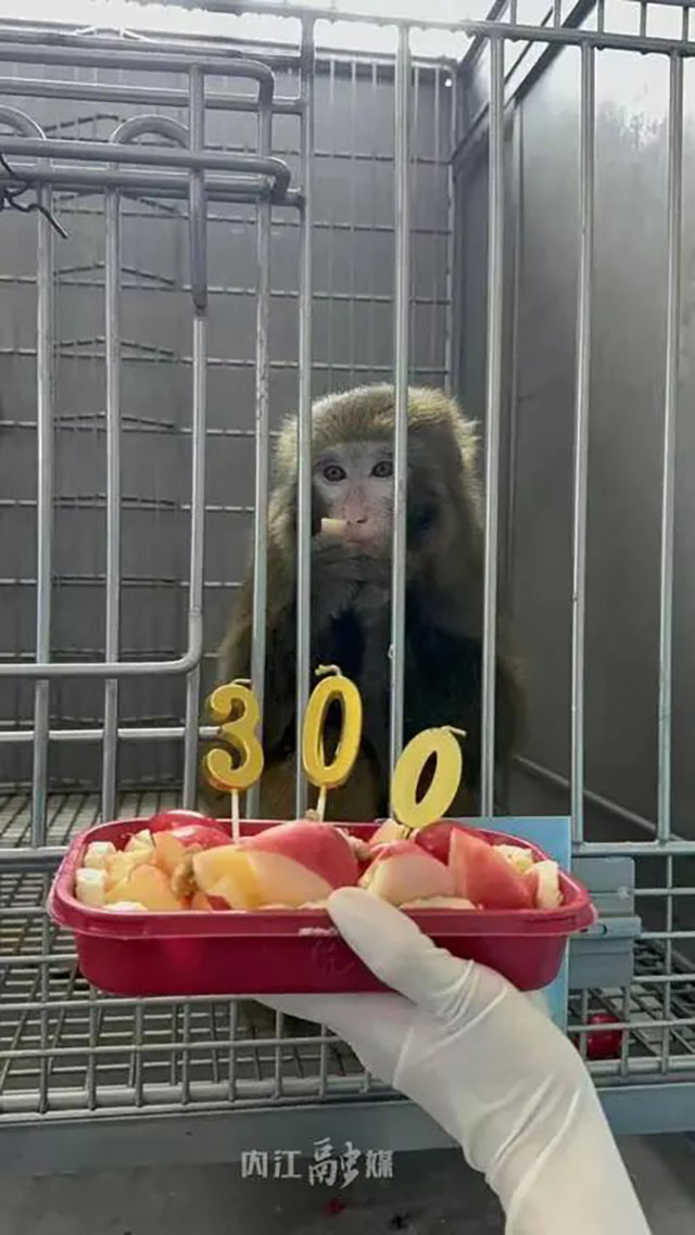 已健康存活300天!供体来自内江——(图2) 2.jpg