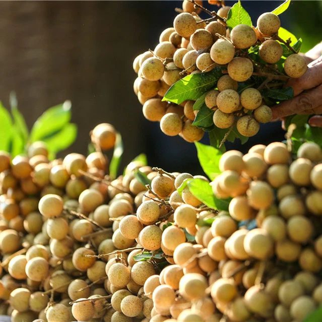 这里是江阳,这里是音乐节的主场!(图19) 19.jpg