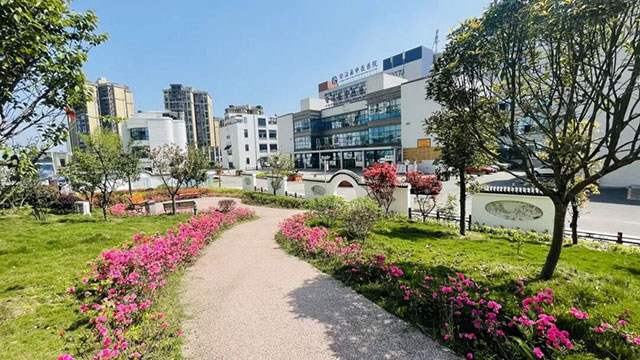 合江县中医医院成功晋升国家三级甲等中医医院(图9) 9.jpg