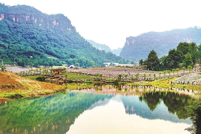 泸州：从“臭水沟”到“网红河” 清溪河的生态逆袭之路