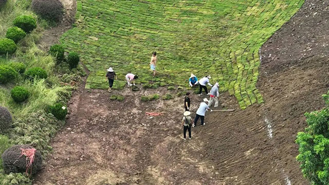 开始动工!10月来泸州张坝看萤火虫(图1) 1.jpg