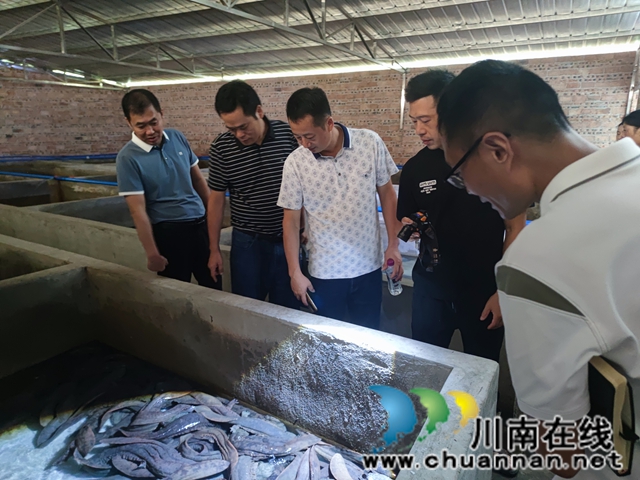 走访组在泸县奇峰镇宝藏大鲵水产养殖有限公司1.jpg