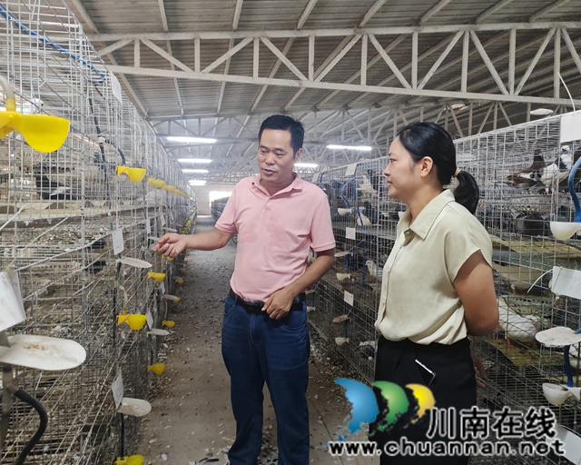 走访组在泸县福集镇鸽多多养鸽家庭农场开展调研1.jpg
