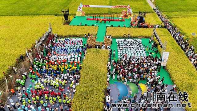 泸州古蔺：万亩稻浪涌金穗，“粮”辰美景庆丰收