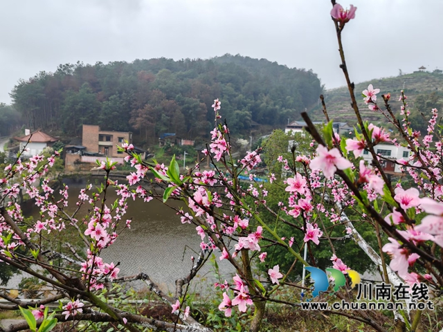 果香四溢的泸县龙江峡