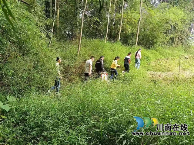 青山育桃李坚守丹心一片，黑板写春秋传扬薪火千年一一评合江融媒推出的向山而行的“点灯人”