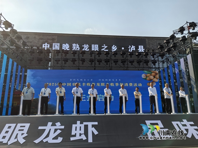 2025年中国农民丰收节龙眼丰收季促消费活动开幕（曾佐然摄）(1).jpg