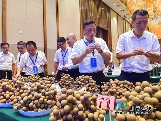 品鉴龙眼（曾佐然摄）(1).jpg