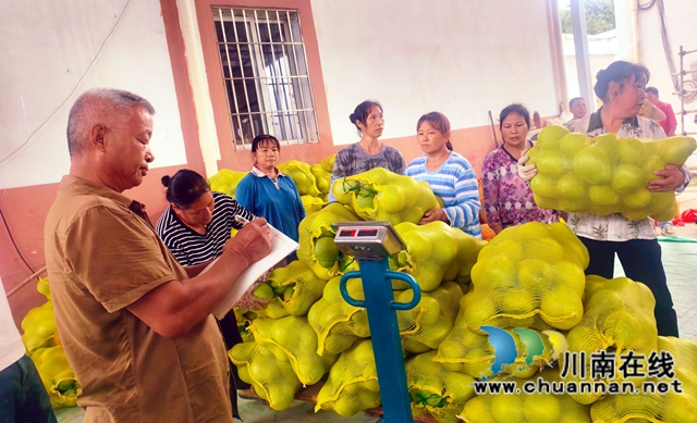 图3：家门口卖水晶柚 周超文摄.jpg