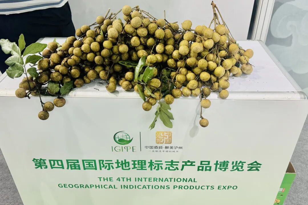 泸州：农产品在地标博览会“热气出笼”