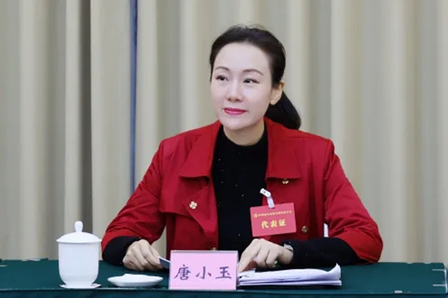 习近平主席全球妇女峰会重要讲话在泸州各界妇女群众中引发热烈反响