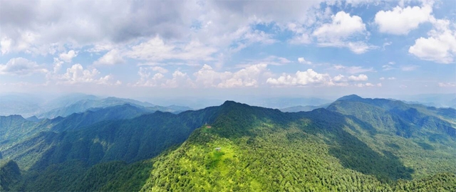 国内首个!宜宾屏山县获批珍稀濒危野生动物人工繁育(图4) 4.jpg