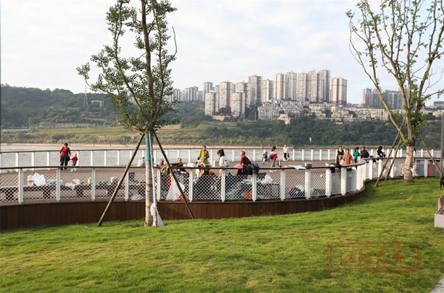 草地上“长”满了人!江阳开启全城日光浴模式(图3) 3.jpg