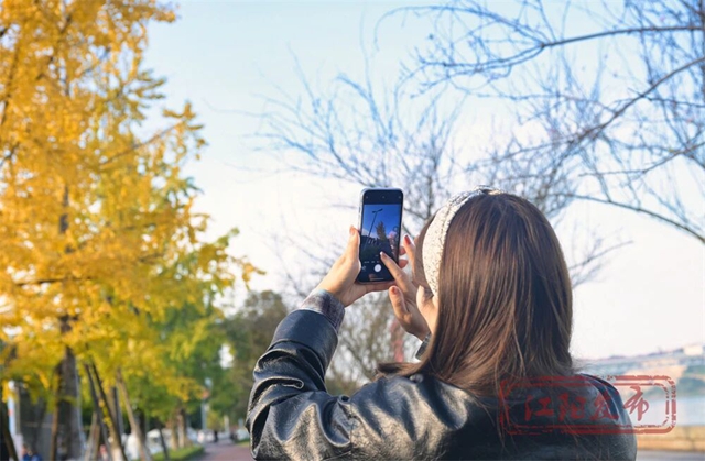 草地上“长”满了人!江阳开启全城日光浴模式(图7) 7.jpg