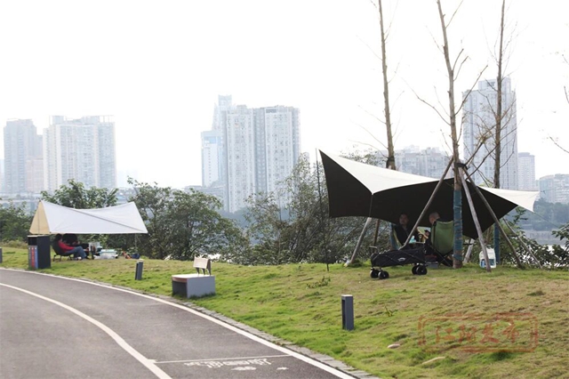 草地上“长”满了人!江阳开启全城日光浴模式(图9) 9.jpg