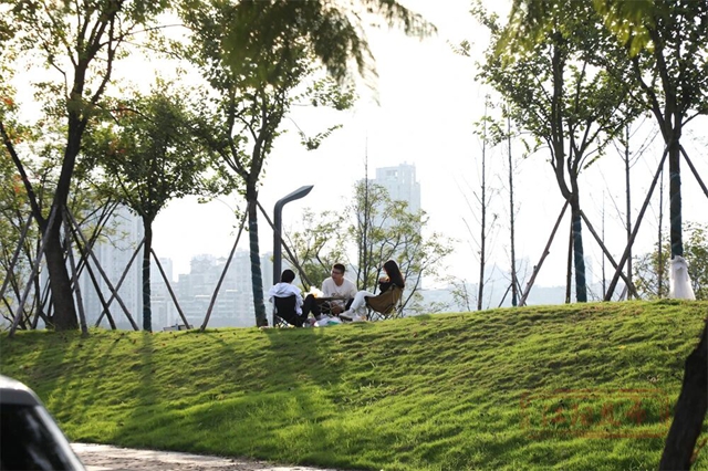 草地上“长”满了人!江阳开启全城日光浴模式(图10) 10.jpg