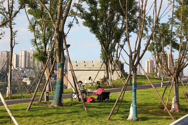草地上“长”满了人!江阳开启全城日光浴模式(图12) 12.jpg