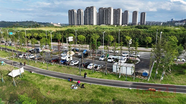 草地上“长”满了人!江阳开启全城日光浴模式(图15) 15.jpg