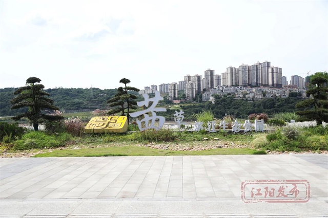 草地上“长”满了人!江阳开启全城日光浴模式(图16) 16.jpg