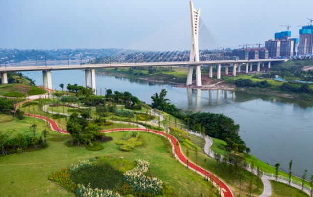 草地上“长”满了人!江阳开启全城日光浴模式(图18) 18.jpg