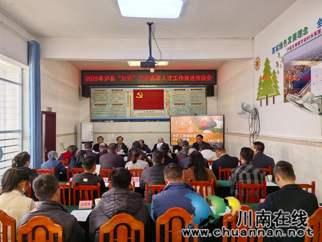 泸县双带农村青年人才工作推进座谈会民（曾佐然摄）.jpg