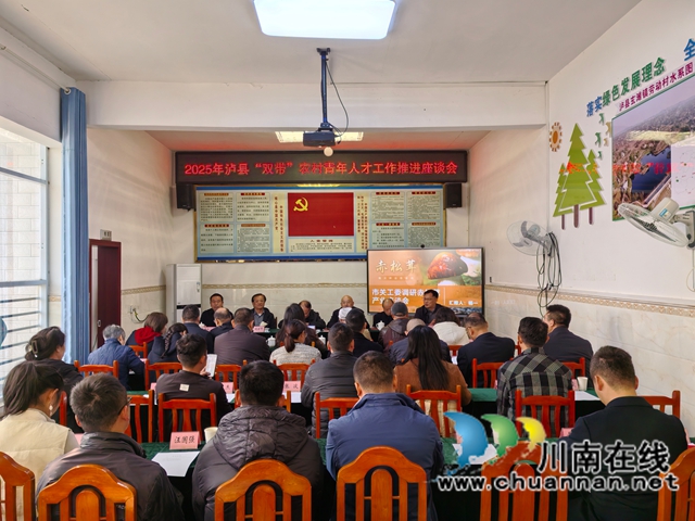 泸县双带农村青年人才工作推进座谈会民（曾佐然摄）.jpg