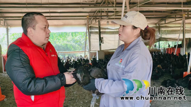 图2：张国友（左）向养殖户了解生产情况 周超文摄.jpg