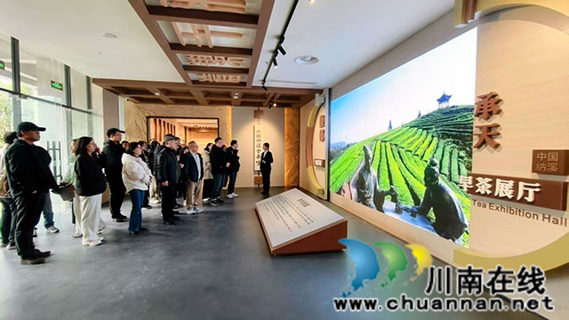 参观纳溪特早茶展厅.jpg