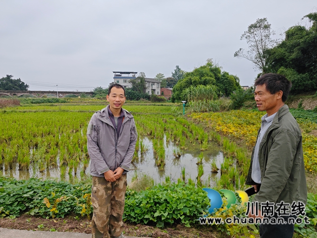 泸县返乡创业指导员刘道国（右一）泸县方洞镇在田间地头指导“双稻双虾”初创者.jpg
