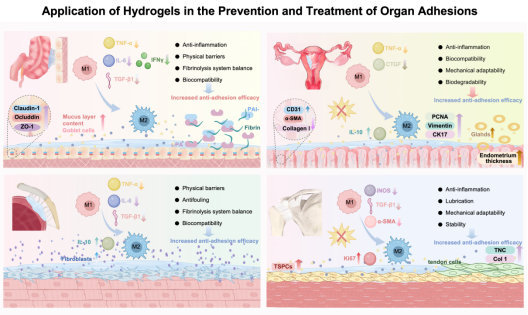 Double kill!西南医大中医院妇科创新团队太给力了(图4) 3.png