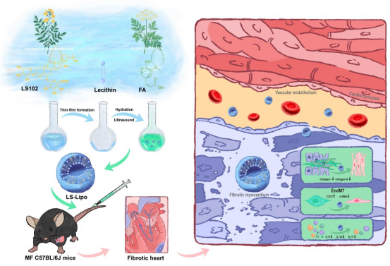 Double kill!西南医大中医院妇科创新团队太给力了(图6) 5.png