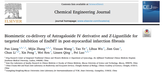Double kill!西南医大中医院妇科创新团队太给力了(图7) 6.png