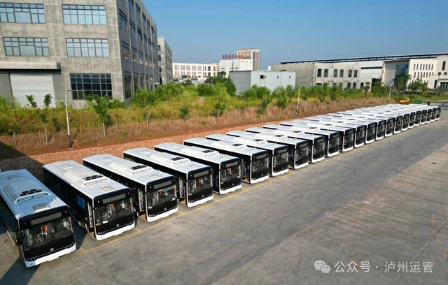 怎么前往泸州各级政务中心？这份公交出行指南请收好