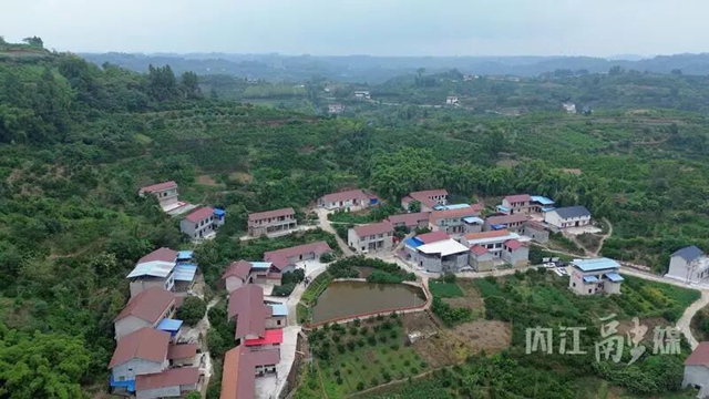 入选农业农村部典型案例！内江农村面貌改善行动落地见效