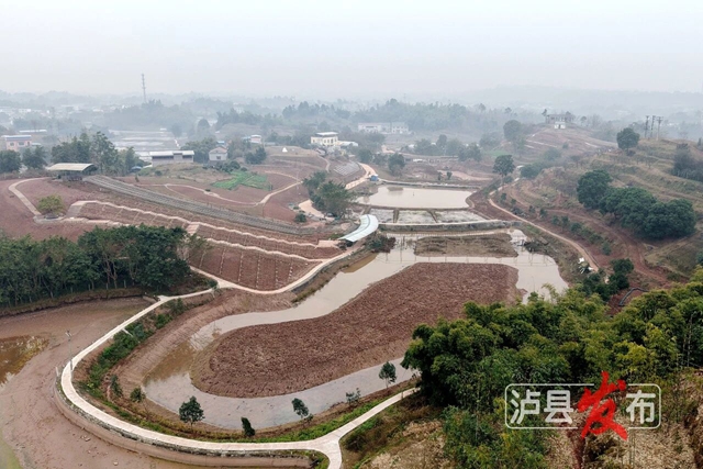 可研学、烧烤、垂钓......泸县将新增一处近郊游好去处